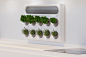 This modular vertical garden was designed to be a self-watering, self-powered, space saver! | Yanko Design
