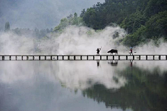 JIMIYV采集到风景