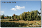 游览风景如画的昆明翠湖公园边走边拍, 刘星云旅游攻略