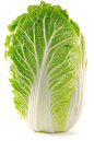 b白菜