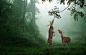 25张漂亮的野生动物摄影作品 « 摄影作品欣赏