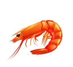 丫头姐姐么么哒采集到插画-美食