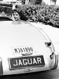 Elizabeth Taylor in Michael Wilding’s Jaguar XK120, 1952
