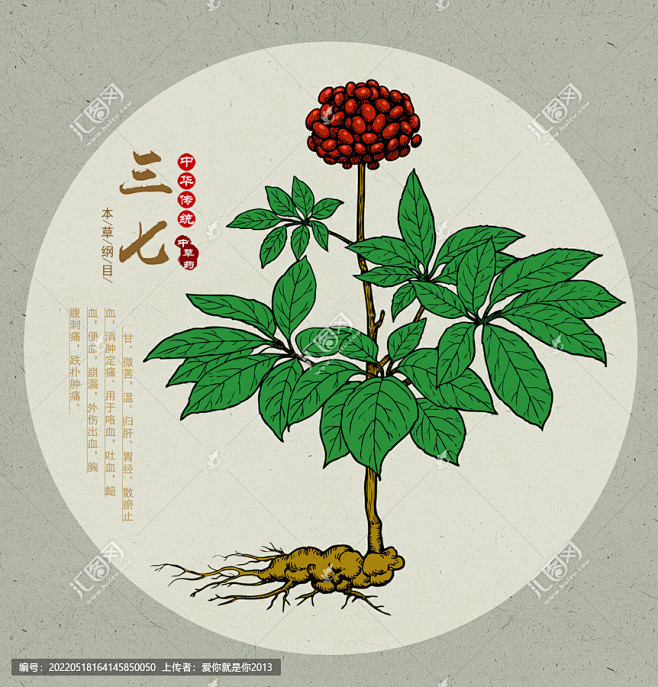 三七 三七包装 中医养生 中医文化 中草...