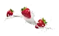 e2e6edb6ea4d5f6b605579bf35768521