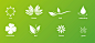 flat 图标 扁平化 绿色 叶子 四叶草 sun 花 flower leaf #矢量素材# ★★★http://www.sucaifengbao.com/vector/tubiao/
