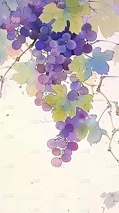 果蔬系列-通用-水彩国风插画水果背景图片