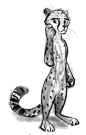 Test Cheet by BlueDouble.deviantart.com on @DeviantArt #cheetah #furry #male #sketch #zootopia #disney Another possible zoosona sketch.