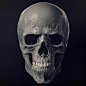 Skull, Ivan Mityaev : Skull by Ivan Mityaev on ArtStation.