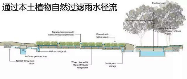 什么是“海绵城市”|干货分享，全方位解读