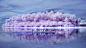 General 2560x1440 pink island Pacific Ocean palm trees boat beach