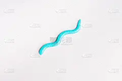 粉红的牙膏蛇口腔卫生概念