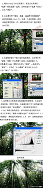 5步用photoshop"径向模糊"轻松制作树林中的透射光线，简单实用而且效果自然~简单也可以高大尚~转需学习吧！
