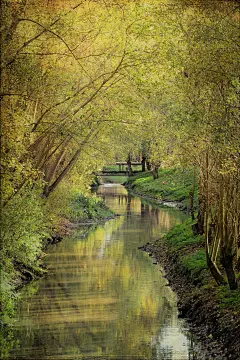 风景