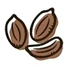 Celery seeds