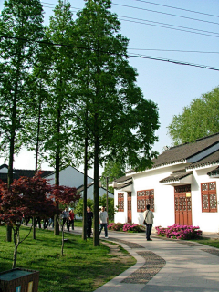 脱骨趴猫采集到古村