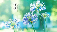 2017年立夏唯美清新图片电脑高清壁纸
