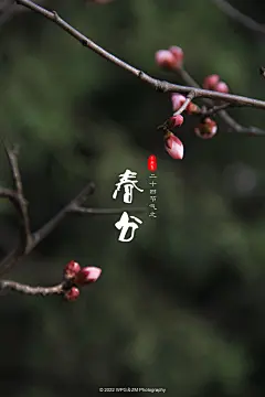 春分，是二十四节气之一，春季第四个节气。春分的意义，一是指一天时间白天黑夜平分，各为12小时；二是古时以立春至立夏为春季，春分正当春季3个月之中，平分了春季。春分后，气候温和，雨水充沛，阳光明媚。春分时节，中国民间有放风筝、吃春菜、立蛋等风俗。