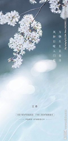 数字君丶采集到节日