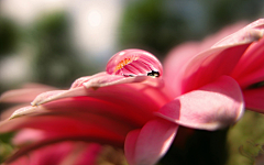 ╁车干シネ采集到醉花阴