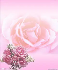 万紫千红,花之物语,花卉物语,丛林之美,春暖花开,荷花意境,自然风景,花草植物,婚庆鲜花,鲜花似锦,鲜花花朵,八仙花郁,金香水仙,花山崎,花樱桃鲜,花藤花秋,叶蔷薇葡,萄梅花,玫瑰,兰花,葵花,金秋,红叶,荷花,果实, 商业,运动,抽象,农业,动物,广告,艺术,美图.名片.图片.黄色.
