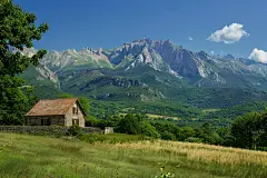 春天树林的小屋图片