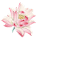 【素材】玄幻背景，美工饰品，少许动态特效等你哦~_看图_橙光游戏吧_百度贴吧