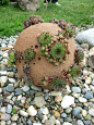 Cement Balloon Planters: Affordable DIY Garden Decorations