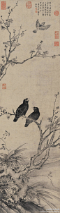 【 元 王渊 《鸲鹆梅雀图》 】轴，水墨纸本，113.2x32.2cm。 老梅一株，生长于坡石之上，盘根错结，老干虬曲，新枝横斜。枝头梅花，或盛开或半放或含苞，繁花密蕊，疏密有致。一股清泉婉转曲回，从远处潺潺而来。两只“八哥儿”，一正一背栖息枝头；上方一只瓦雀振翅前飞，另一只正敛翅缩足。