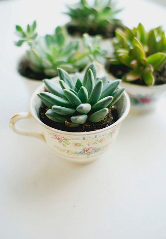 Use antique teacups ...