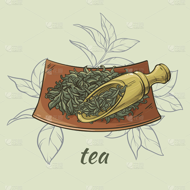 茶,干的,铲子,茶馆,茶叶,绿茶,饮料,...