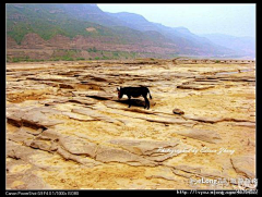 Himalayashf采集到多图_09山西之旅——壶