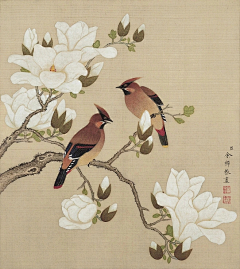 ~晴儿~采集到设计灵感图片