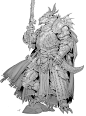 DRAGONBORN PALADIN