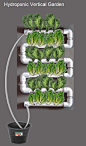 Hydroponic vertical garden: 