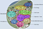 世界顶级的儿童科普探险公园：Rory Meyers Children's Adventure Garden_平面图 : RoryMeyersChildren'sAdventureGarden儿童探险花园位于著名的达拉斯植物园内，是世界上最精致的儿童互动花园。这座没有围墙的博物馆设有17个室内和室外学习室，每个学习室都专注于生命，