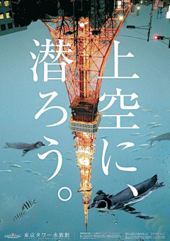 〆鸢尾离采集到排版中的设计海报