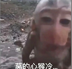 VCMg采集到搞笑