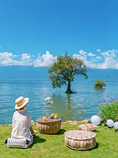 大理孤独的树 | 长在洱海里长进我心里