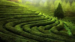 壮观奇妙的风景高清桌面壁纸下载