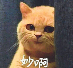 ζั͡ޓއއއ๓浅爱采集到表情包