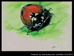 牧童的插画画廊展厅