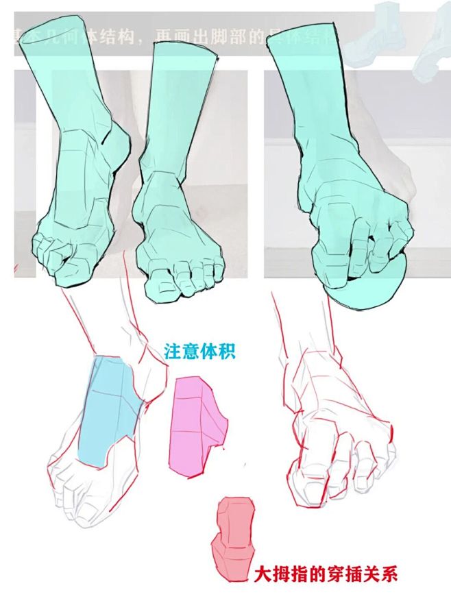 第六周下肢作业总结 : #人体结构练习 ...