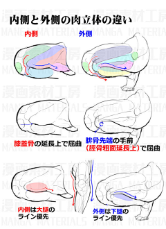 Pronda采集到素材-人体足部