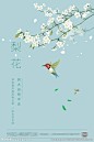 海棠花海报 赏花海报 开花海报