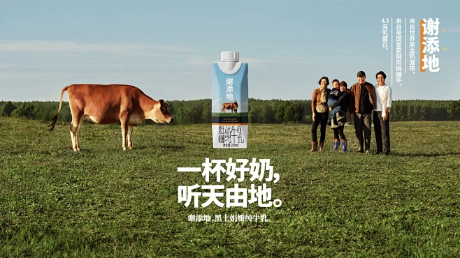 谢添地 | 一杯好奶，听天由地 - 小红书-花瓣网