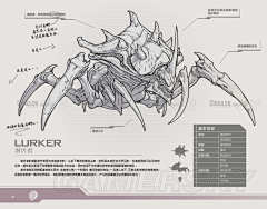 MSN-06M采集到生物