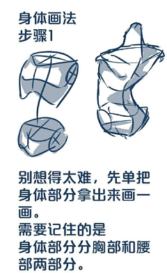 Charles熊采集到学画人体