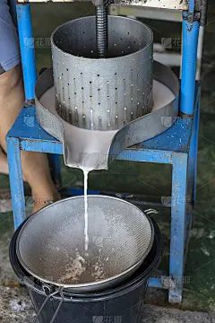 椰汁榨汁机，螺杆式压榨机。泰国的椰奶工厂。手动按压椰汁