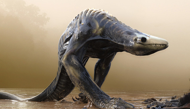 Skull Crawler, Jama ...